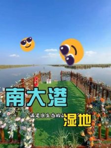 蒹葭渡露营地 - 场地环境